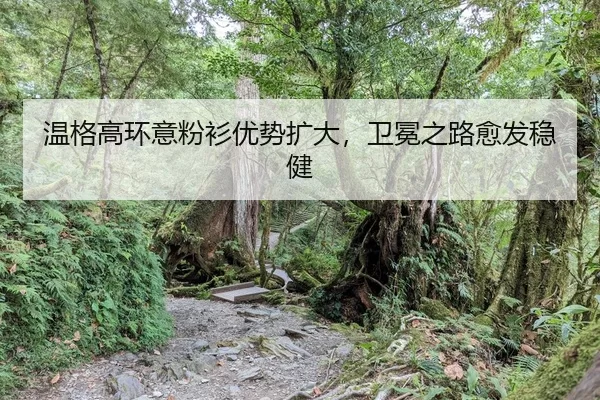 wen-ge-gao-huan-yi-fen-shan-you-shi-kuo-da-wei-mian-zhi-lu-yu-fa-wen-jian-2-898.jpg