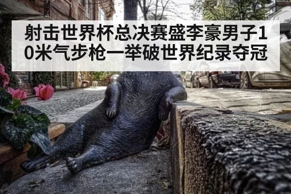 射击世界杯总决赛盛李豪男子10米气步枪一举破世界纪录夺冠